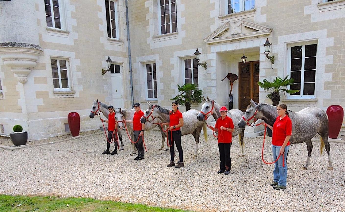 Chateau De Bellevue B&B Et Appartements Avec Piscine Saisonal Chauffee Et Chambres Partout Climatisees Saint-Avit  Εξωτερικό φωτογραφία